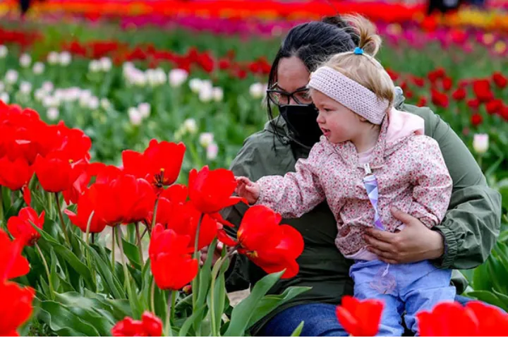 دشت‌های لاله مونترال، جایی برای قدردانی از مادران در روز مادر